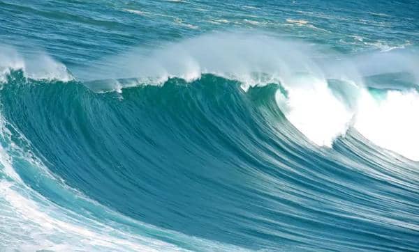 Alimentation mondiale : la mer pour augmenter la nourriture ?