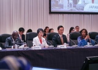 Afrique: Le Japon Prêt À Créer Un Avenir Durable Sur Le Continent Noir