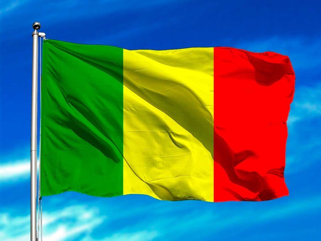Mali: Le Risque Zéro N&rsquo;existe Pas Face Au Terrorisme, Quel Défi Pour les Fama ?