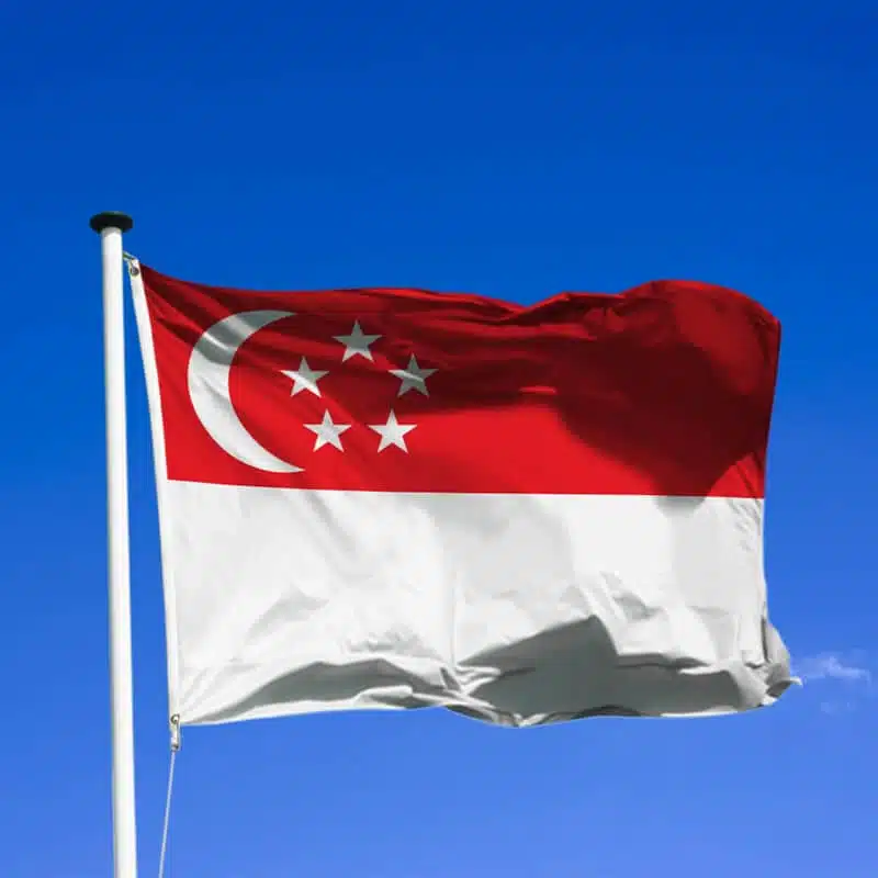 Économie/Fonds souverain: Singapour, un exemple pour l&rsquo;Afrique ?