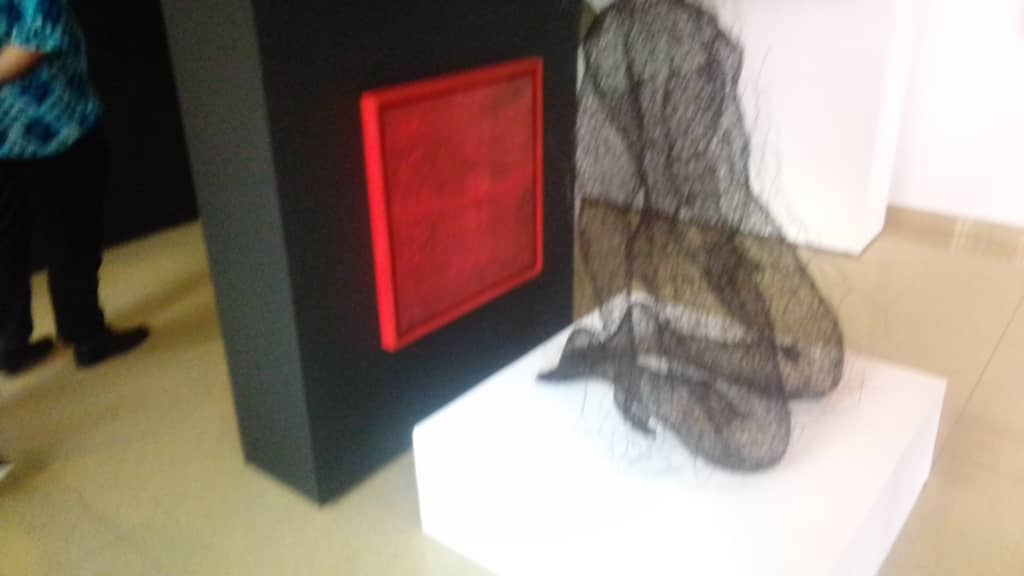 Résidence De L'ambassadeur UE Près Le Bénin/Vernissage : Les Artistes Tchif Et Rémy Samuz Valorisés