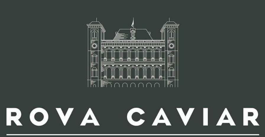 Afrique/Économie De L'Image :  De Plus en Plus De Formats Business Sur Les Chaînes Panafricaines