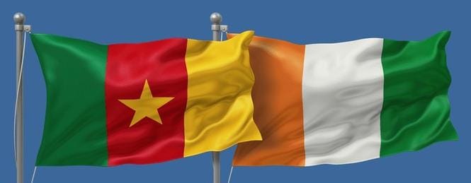 Côte d'Ivoire/Cameroun :  Partis D'opposition à La Veille De La Présidentielle. (Trouver Impérativement Les Moyens)