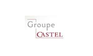 Groupe Castel : La Guerre Des Chefs Pour Gérer Nos Bouteilles De Bière ( De Cotonou à Bamako, En Passant Par Ouaga, Dakar, Lomé, Kinshasa, Yaoundé...)