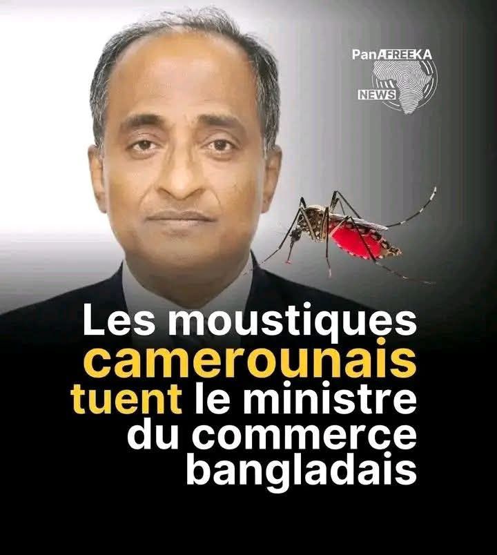 Cameroun/Après Une Réunion Internationale à Yaoundé :  Les Moustiques Tuent Un Ministre du Commerce Asiatique