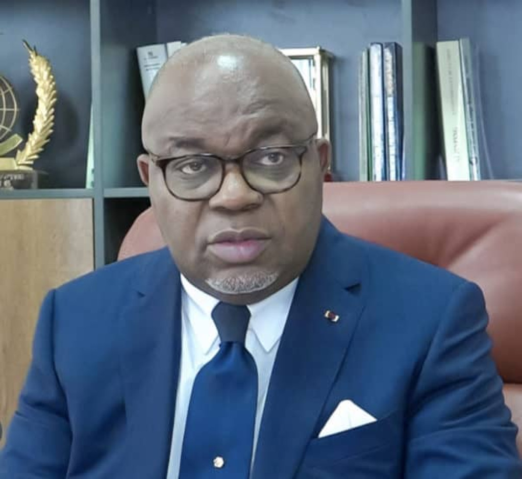 Transition Énergétique : L&rsquo;Afrique Face Aux Enjeux, Des Réflexions À Brazzaville